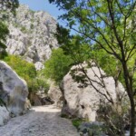Hinauf in die Schlucht Hinauf in die Schlucht