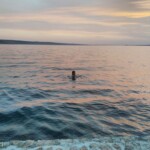 Abkühlung am Abend Abkühlung am Abend