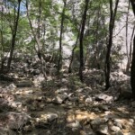Am Fuß der Kletterfelsen in Paklenica Am Fuß der Kletterfelsen in Paklenica