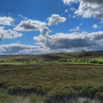 Moor Moor