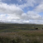 Wandern in der Hardangervidda
