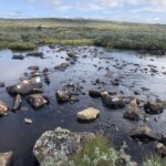 Wandern in der Hardangervidda
