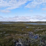 Hardangervidda