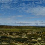 Hardangervidda