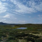Hardangervidda