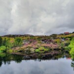 Bei Fjell
