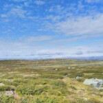 Hardangervidda