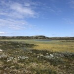 Hardangervidda