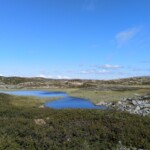Hardangervidda