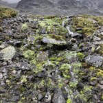 Am Bessvatnet