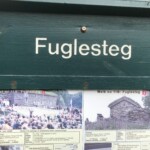 Fuglesteg