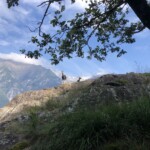 Bergziegen :D