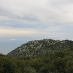Festung