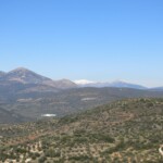 Ausblick