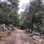 Wanderwege