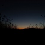 Abendstimmung