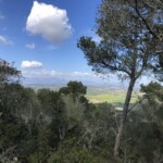 Aussicht