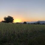 Sonnenuntergang