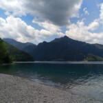 Ledrosee Ledrosee