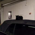 This is my car