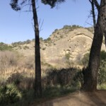 Interessante Felsen