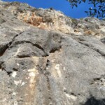 "Meine" 7a