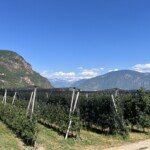 Richtung Bozen & Dolomiten von der Etsch Richtung Bozen & Dolomiten von der Etsch