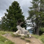 Holzadler Holzadler
