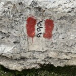 Der richtige Weg Der richtige Weg