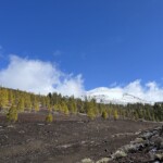 Nochmal zum Teide Nochmal zum Teide