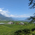 Blick gen Meran