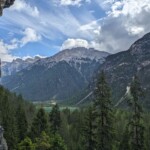 Aus dem Klettergarten