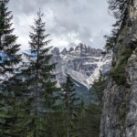 Aus dem Klettergarten