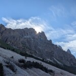 Morgenstimmung im Rosengarten