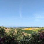 In den Marken - Ausblick In den Marken - Ausblick