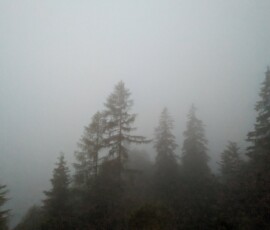 Abendstimmung mit Nebel