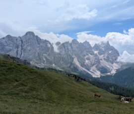 Palagruppe von Val Venegia