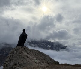 Wolken und Phogl