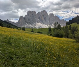 Ausblick auf die Geisler