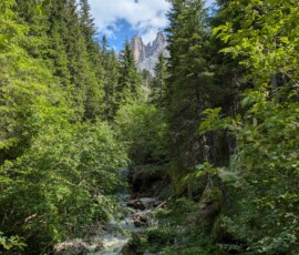 nochmal: Durchs Bachtal auf die Geisler