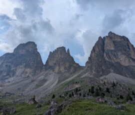 Fünffingerspitze in der Mitte, rechts markant der Daumen