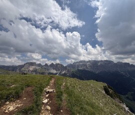 Blick von der Stevia